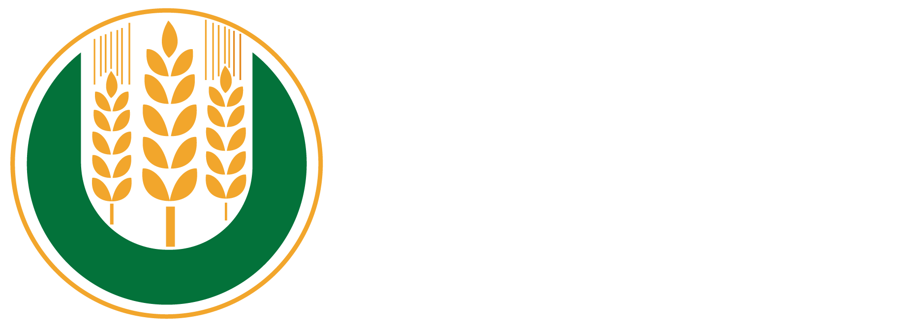 DAGOSH INTERGRATED BUSINESS